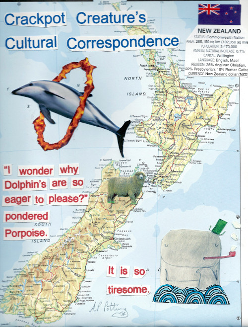 Porpoise in New Zealand