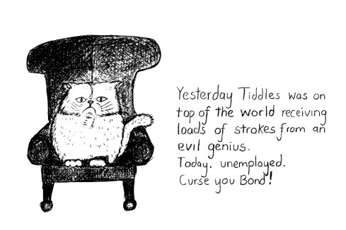 Blofelds Cat 900by600